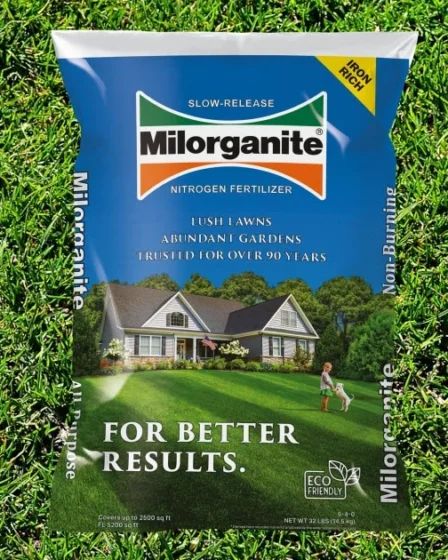 What is Milorganite and When to Apply It?