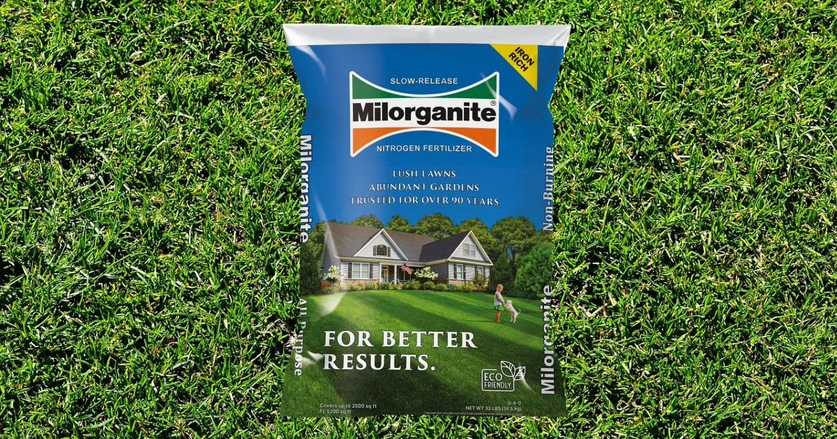 What is Milorganite and When to Apply It?