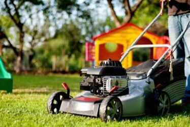 Best Time of Day to Mow Lawn