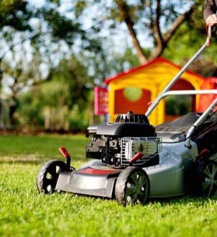 Best Time of Day to Mow Lawn