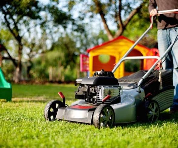 Best Time of Day to Mow Lawn
