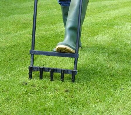 How Often Should You Aerate Your Lawn?