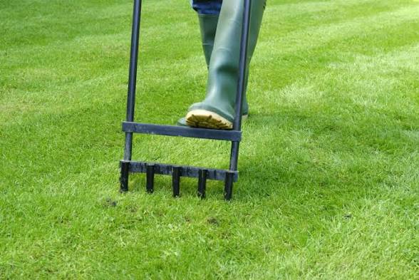 How Often Should You Aerate Your Lawn?