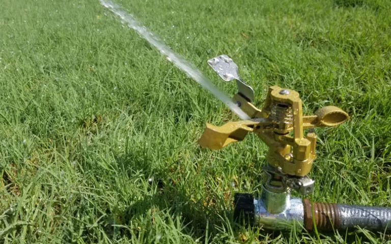 8 Tips to Keep Lawn Green in Summer Heat - Green Lawn Guide