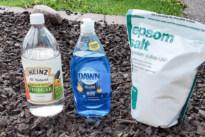 Does Vinegar Kill Weeds Permanently? How to use It - Green Lawn Guide