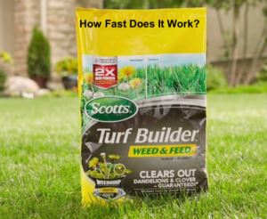 How Fast Does Scotts Weed and Feed Work? - Green Lawn Guide