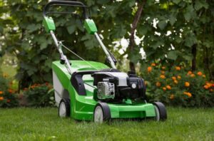 Electric Vs. Gas Lawn Mower: Which is Best for You? - Green Lawn Guide