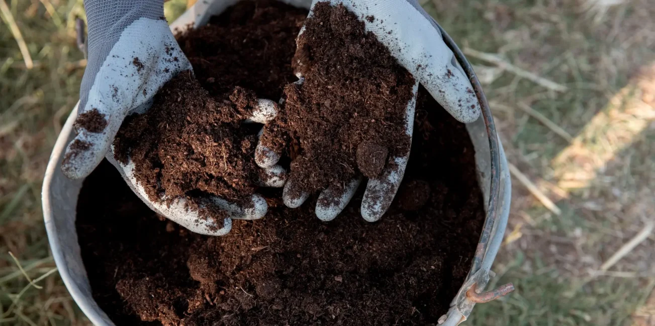 Best Compost for Lawn Soil Improvement