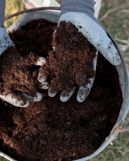 Best Compost for Lawn Soil Improvement