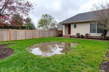 Lawn Drainage Problem
