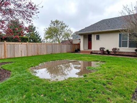 Lawn Drainage Problem