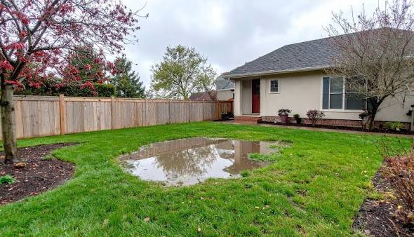 Lawn Drainage Problem